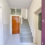 Buisson * 西尼斯科拉